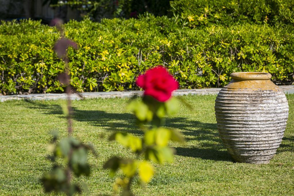 Olive Grove Studios & Apartments Свороната Экстерьер фото